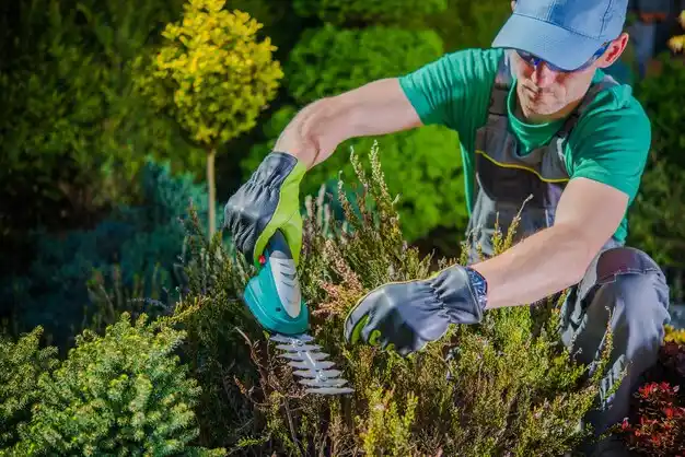 landscaping services Hewlett